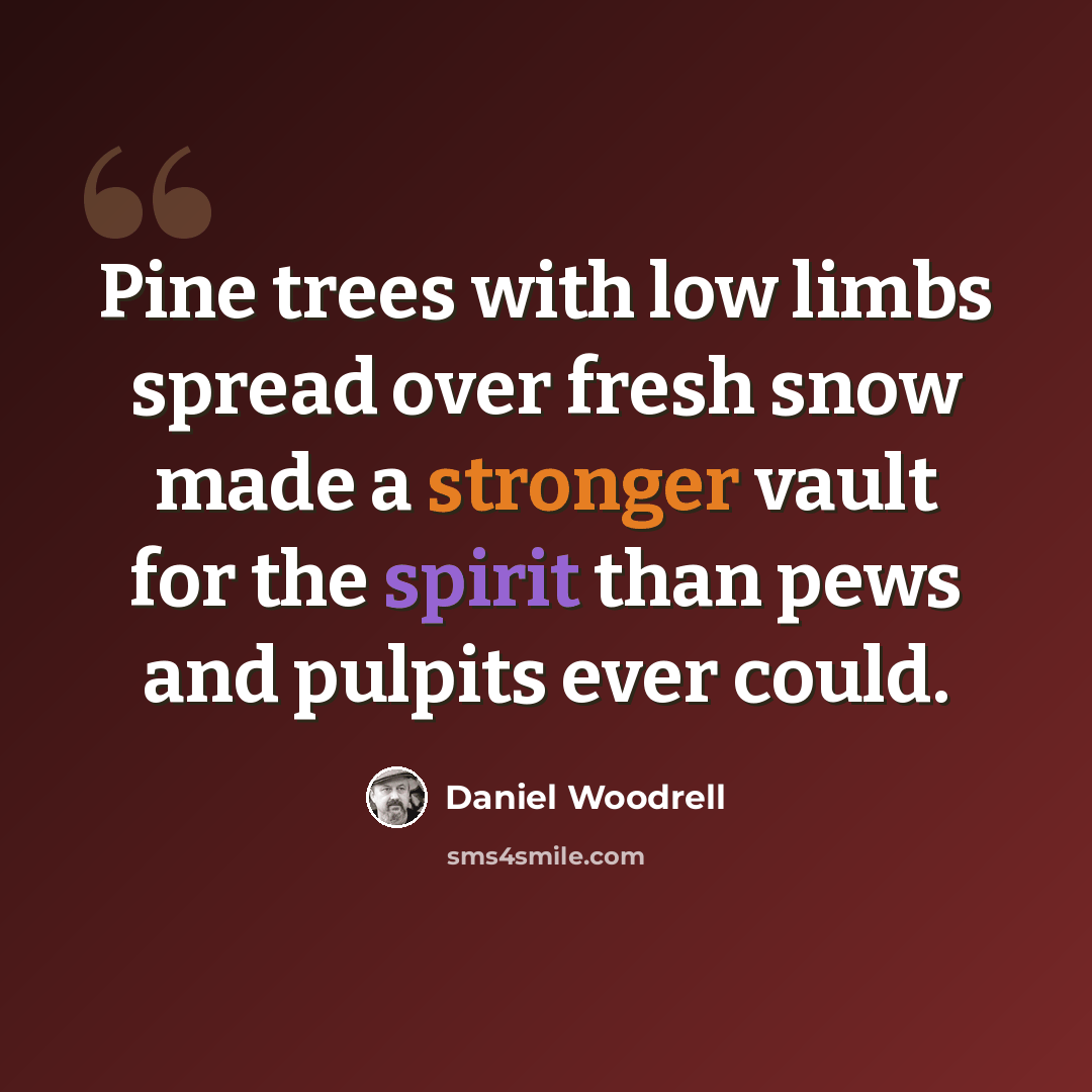 “Pine trees with low limbs spread over fresh snow made a stronger vault for the spirit than pews and pulpits ever could.” quote by Daniel Woodrell
