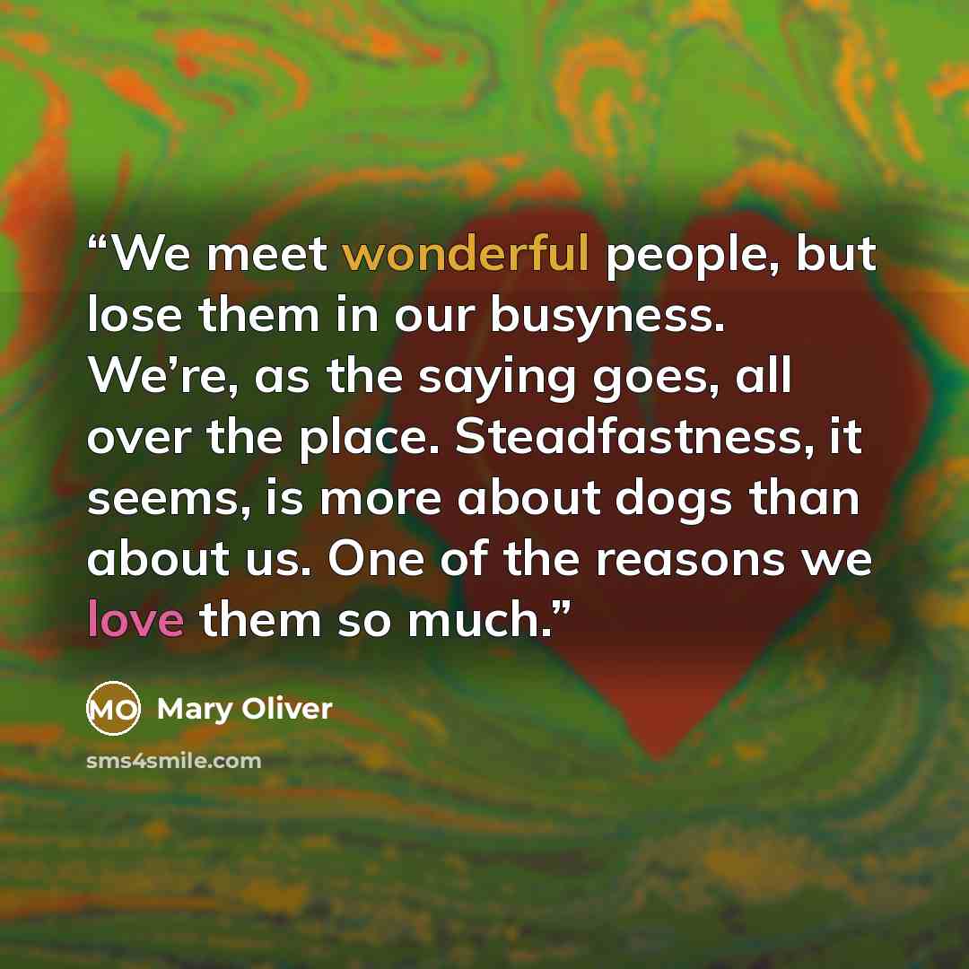 “We meet wonderful people, but lose them in our busyness. We’re, as the saying goes, all over the place. Steadfastness, it seems, is more about dogs than about us. One of the reasons we love them so much.” quote by Mary Oliver