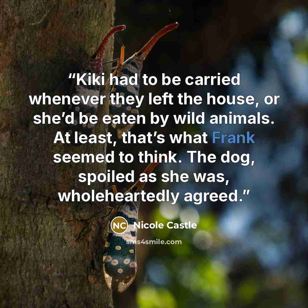 “Kiki had to be carried whenever they left the house, or she’d be eaten by wild animals. At least, that’s what Frank seemed to think. The dog, spoiled as she was, wholeheartedly agreed.” quote by Nicole Castle