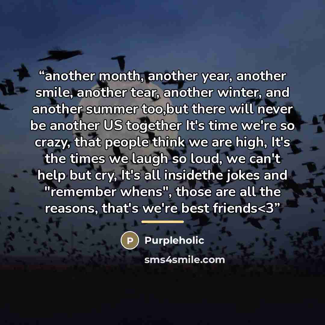 ““another month, another year, another smile, another tear, another winter, and another summer too,but there will never be another US together It's time we're so crazy, that people think we are high, It's the times we laugh so loud, we can't help but cry, It's all insidethe jokes and "remember…” quote by Purpleholic