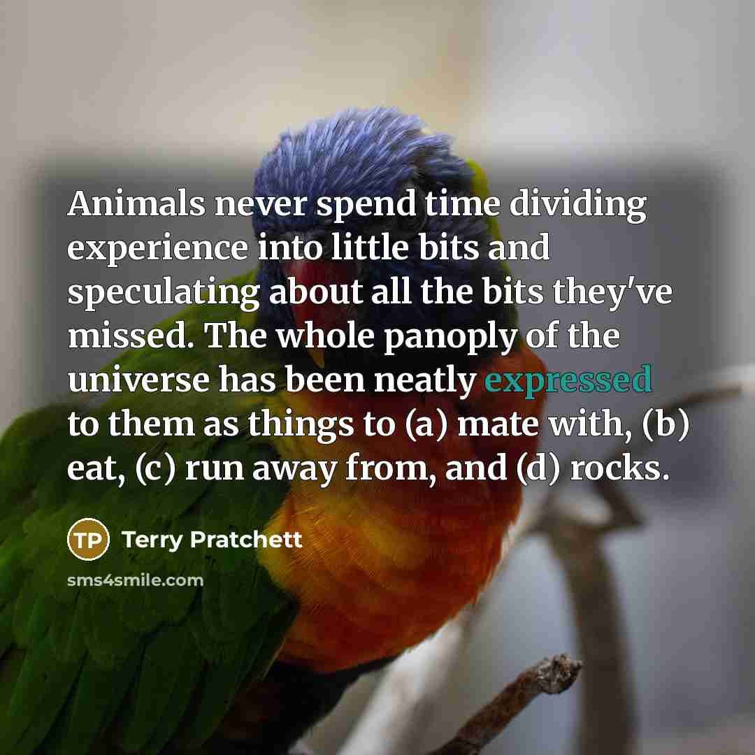 “Animals never spend time dividing experience into little bits and speculating about all the bits they've missed. The whole panoply of the universe has been neatly expressed to them as things to (a) mate with, (b) eat, (c) run away from, and (d) rocks.” quote by Terry Pratchett