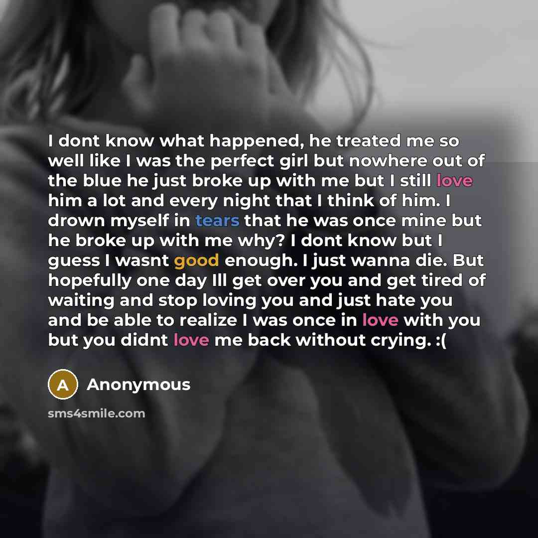 “I dont know what happened, he treated me so well like I was the perfect girl but nowhere out of the blue he just broke up with me but I still love him a lot and every night that I think of him. I drown myself in tears that he was once mine but he broke up with me why? I dont know but I guess I…” quote by Anonymous