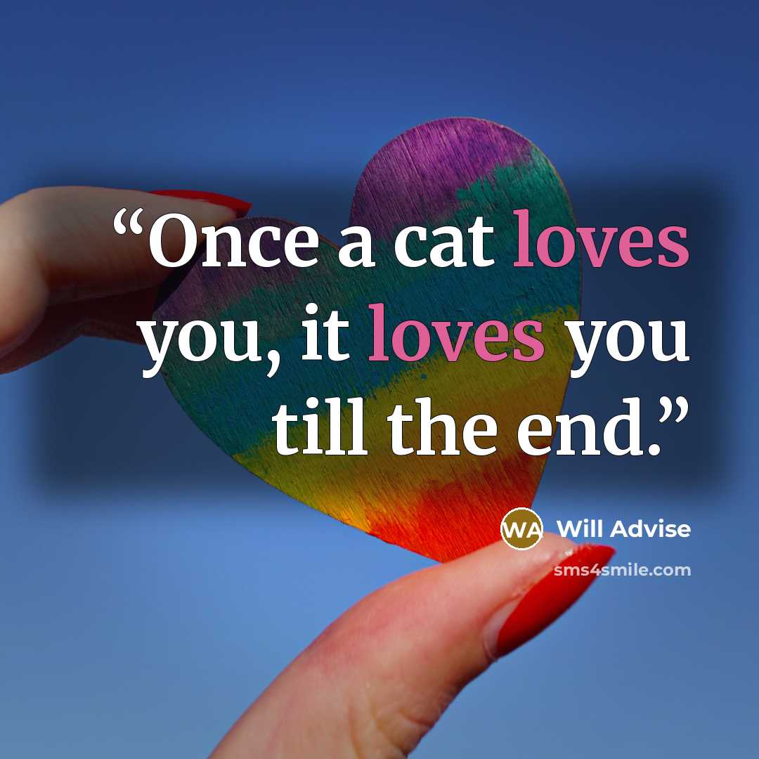 “Once a cat loves you, it loves you till the end.” quote by Will Advise