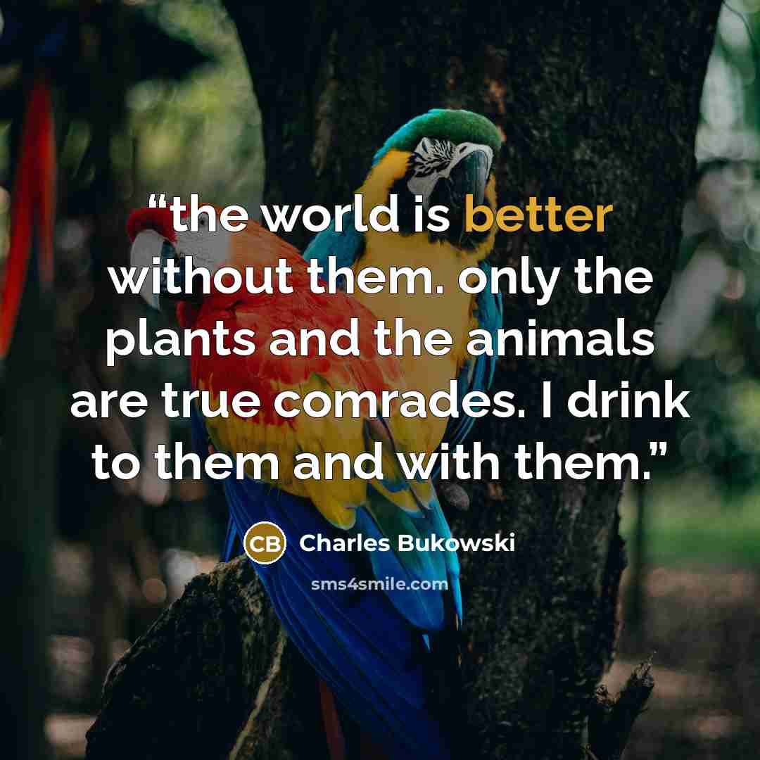 “the world is better without them. only the plants and the animals are true comrades. I drink to them and with them.” quote by Charles Bukowski