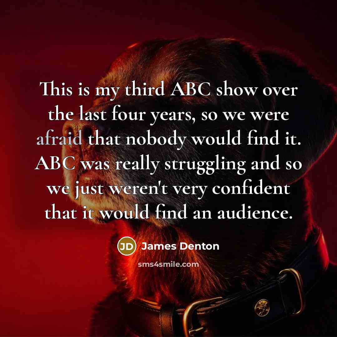“This is my third ABC show over the last four years, so we were afraid that nobody would find it. ABC was really struggling and so we just weren't very confident that it would find an audience.” quote by James Denton