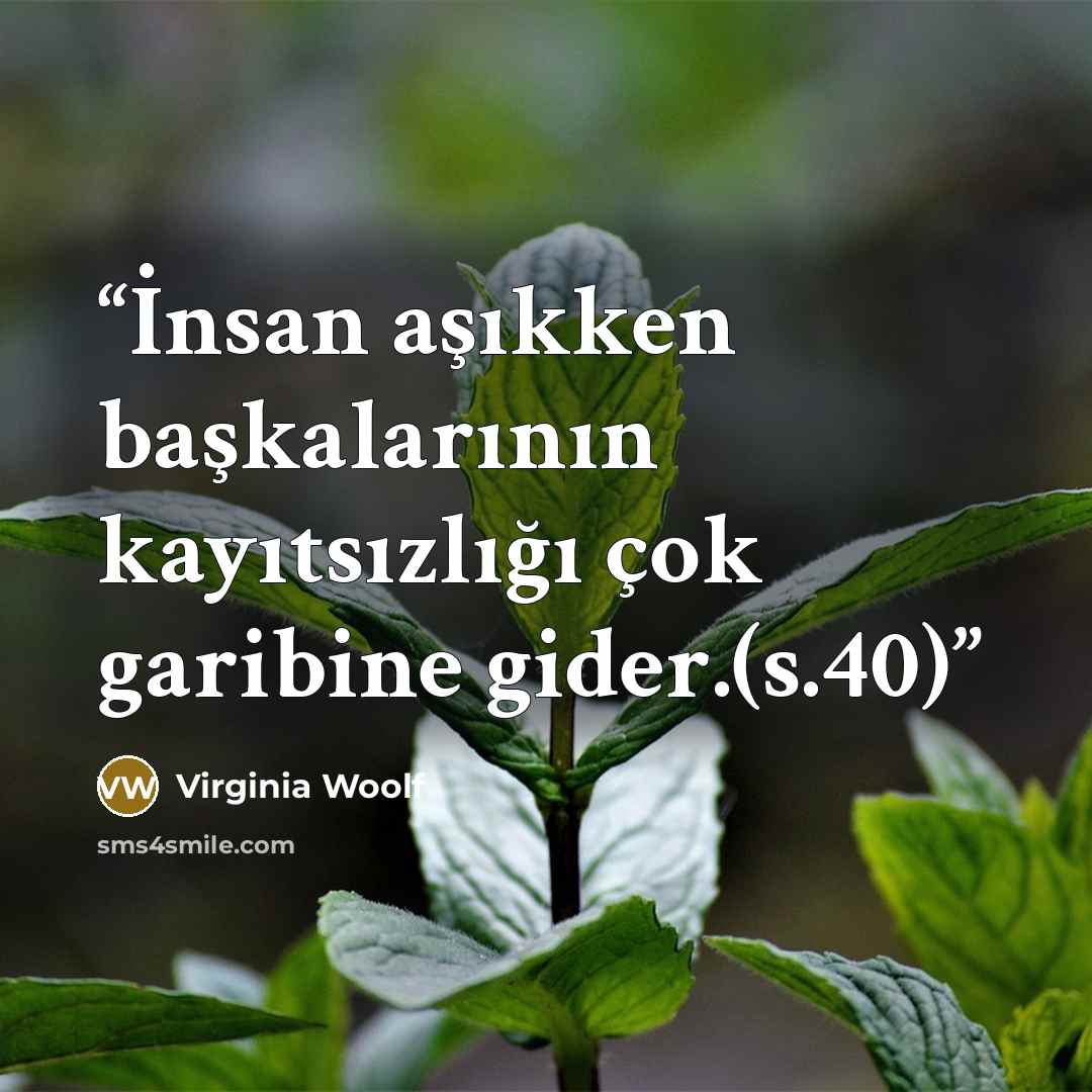 “İnsan aşıkken başkalarının kayıtsızlığı çok garibine gider.(s.40)” quote by Virginia Woolf