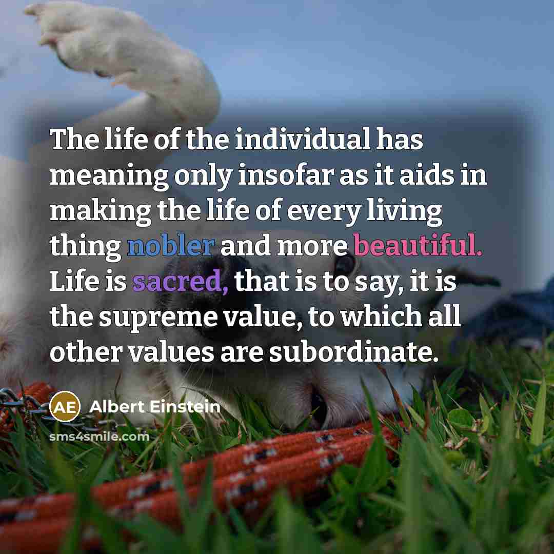 “The life of the individual has meaning only insofar as it aids in making the life of every living thing nobler and more beautiful. Life is sacred, that is to say, it is the supreme value, to which all other values are subordinate.” quote by Albert Einstein