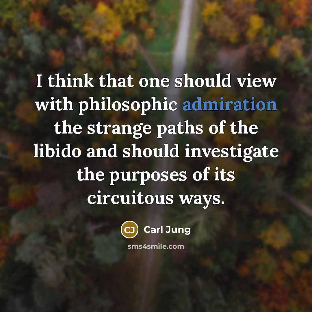 “I think that one should view with philosophic admiration the strange paths of the libido and should investigate the purposes of its circuitous ways.” quote by Carl Jung