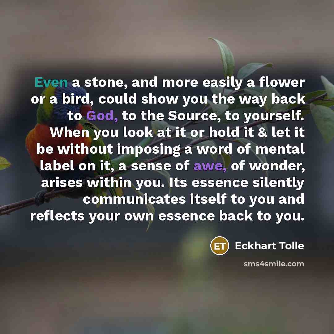 “Even a stone, and more easily a flower or a bird, could show you the way back to God, to the Source, to yourself. When you look at it or hold it & let it be without imposing a word of mental label on it, a sense of awe, of wonder, arises within you. Its essence silently communicates itself to you…” quote by Eckhart Tolle
