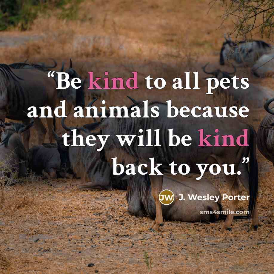 “Be kind to all pets and animals because they will be kind back to you.” quote by J. Wesley Porter