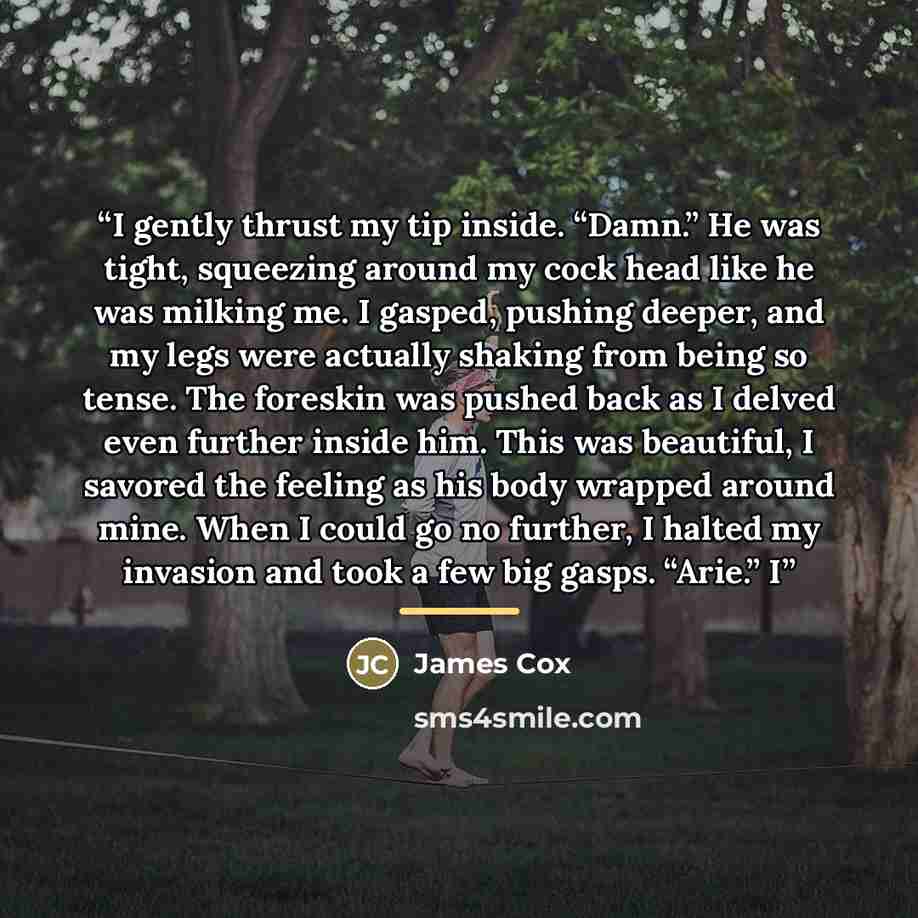“I gently thrust my tip inside. “Damn.” He was tight, squeezing around my cock head like he was milking me. I gasped, pushing deeper, and my legs were actually shaking from being so tense. The foreskin was pushed back as I delved even further inside him. This was beautiful, I savored the feeling as…” quote by James Cox