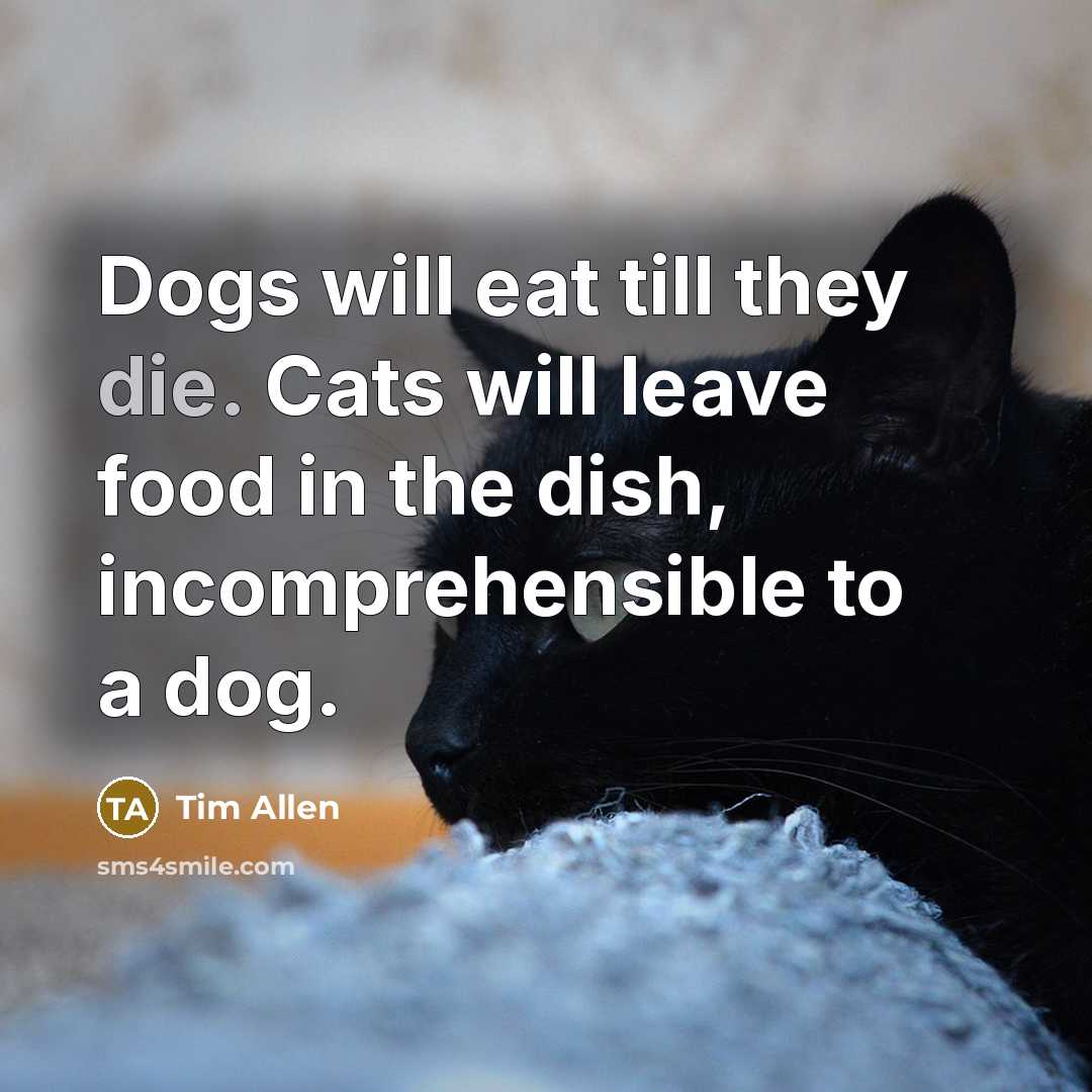“Dogs will eat till they die. Cats will leave food in the dish, incomprehensible to a dog.” quote by Tim Allen