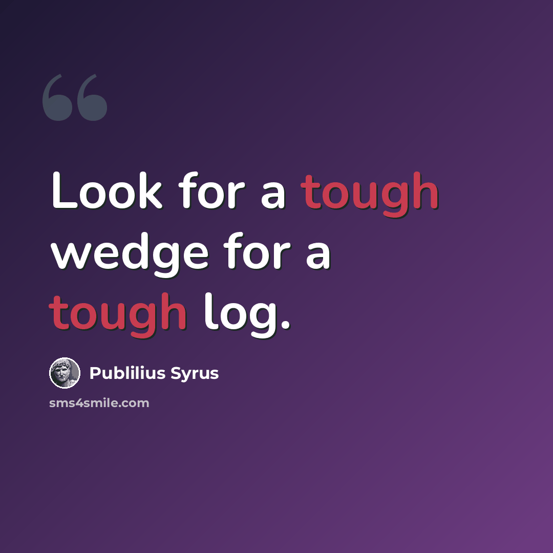 “Look for a tough wedge for a tough log.” quote by Publilius Syrus