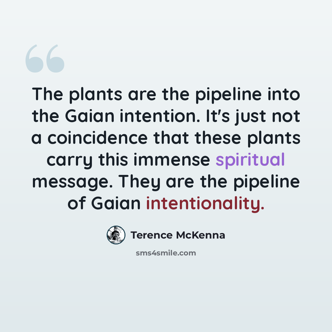 “The plants are the pipeline into the Gaian intention. It's just not a coincidence that these plants carry this immense spiritual message. They are the pipeline of Gaian intentionality.” quote by Terence McKenna