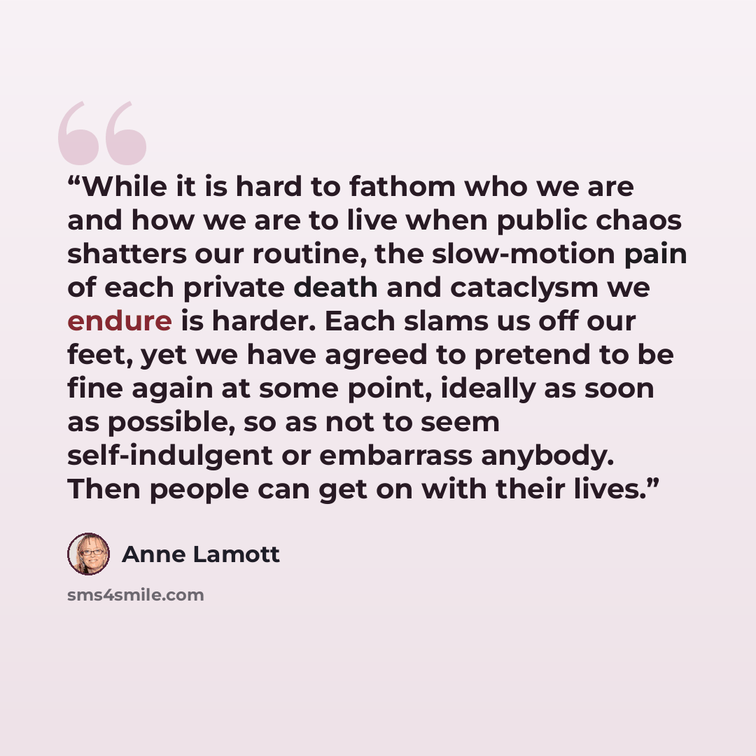 “While it is hard to fathom who we are and how we are to live when public chaos shatters our routine, the slow-motion pain of each private death and cataclysm we endure is harder. Each slams us off our feet, yet we have agreed to pretend to be fine again at some point, ideally as soon as possible…” quote by Anne Lamott