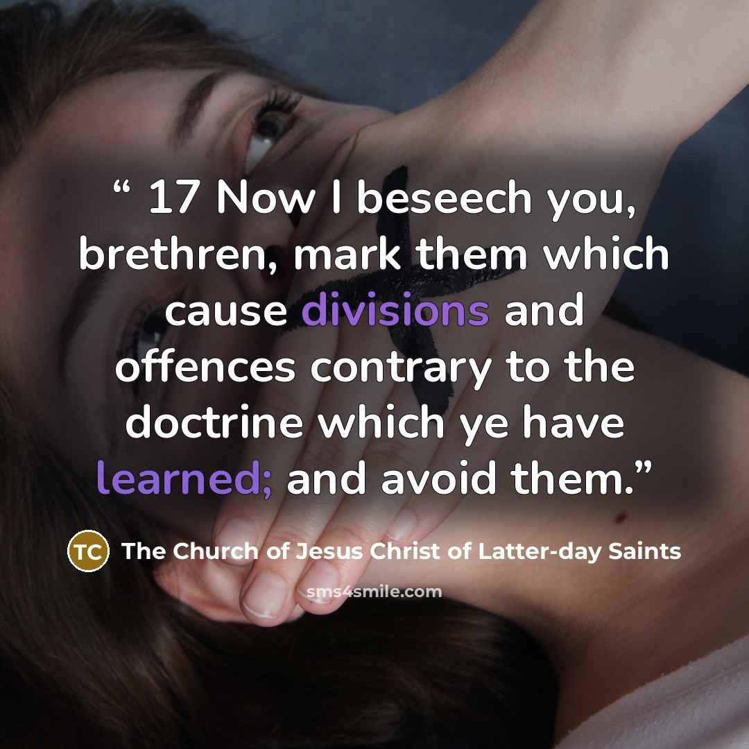 “17 Now I beseech you, brethren, mark them which cause divisions and offences contrary to the doctrine which ye have learned; and avoid them.” quote by The Church of Jesus Christ of Latter-day Saints