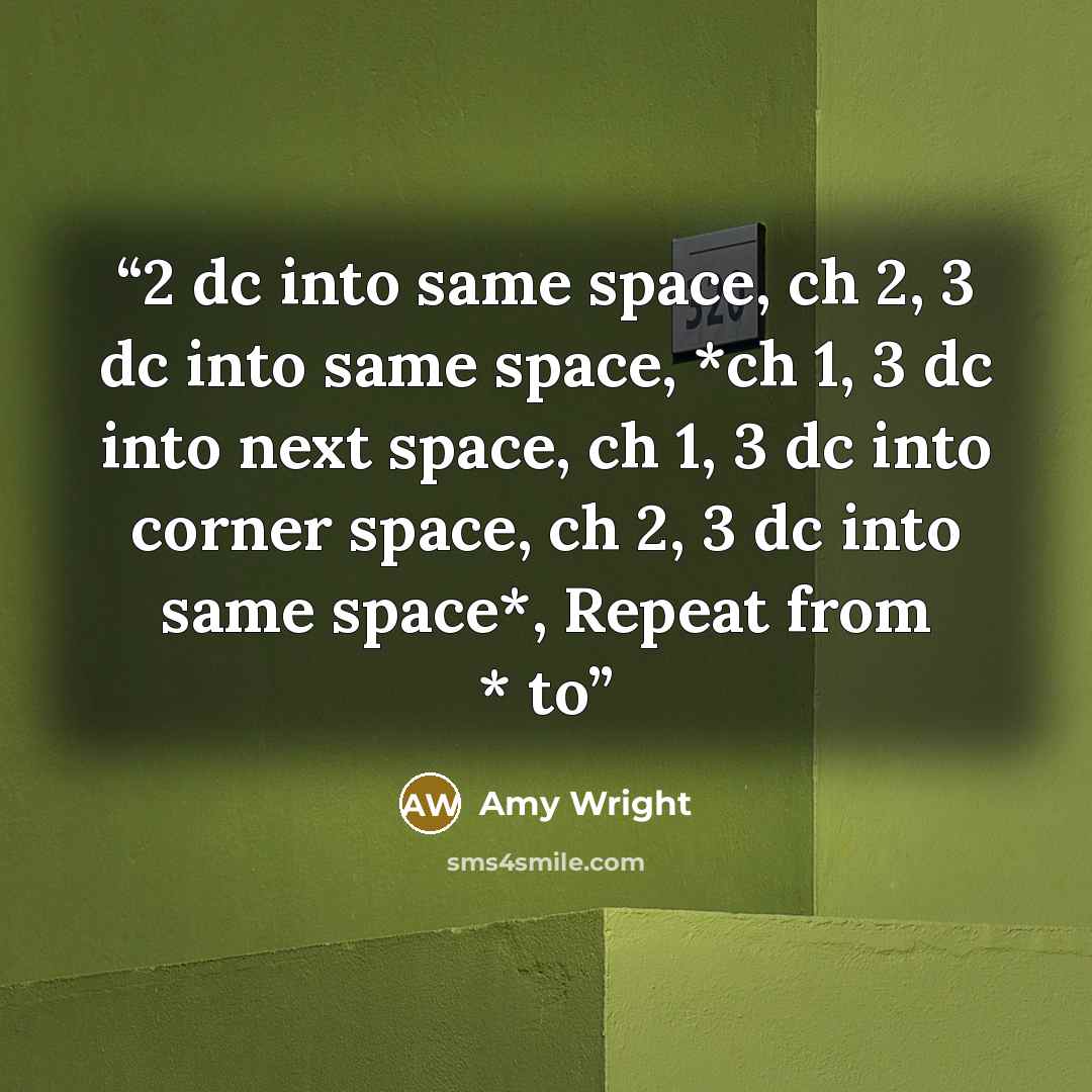 “2 dc into same space, ch 2, 3 dc into same space, *ch 1, 3 dc into next space, ch 1, 3 dc into corner space, ch 2, 3 dc into same space*, Repeat from * to” quote by Amy Wright