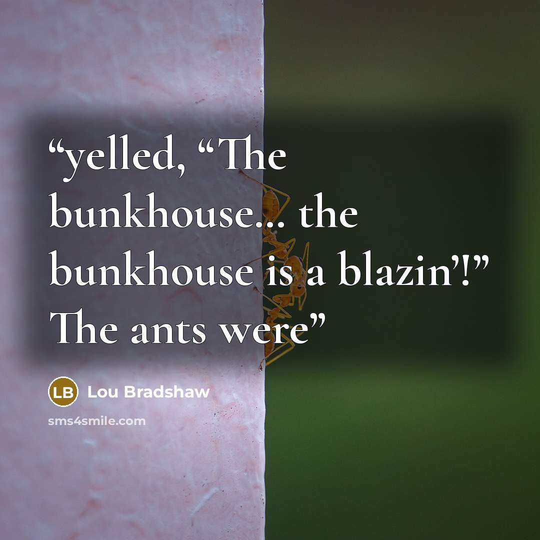 “yelled, “The bunkhouse… the bunkhouse is a blazin’!” The ants were” quote by Lou Bradshaw