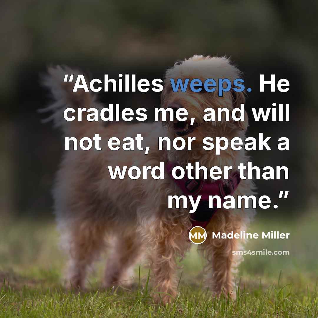 “Achilles weeps. He cradles me, and will not eat, nor speak a word other than my name.” quote by Madeline Miller