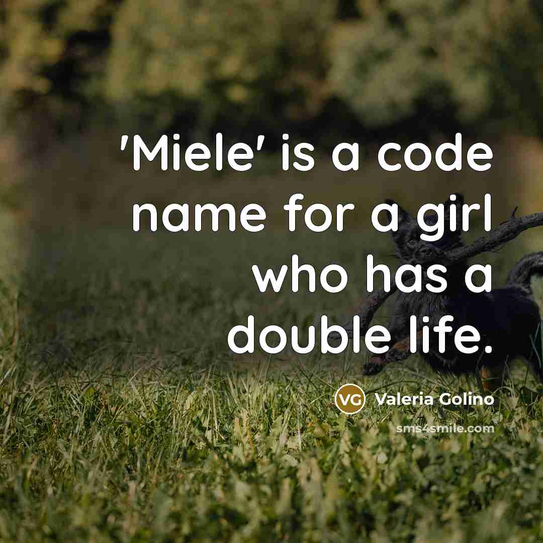 “'Miele' is a code name for a girl who has a double life.” quote by Valeria Golino