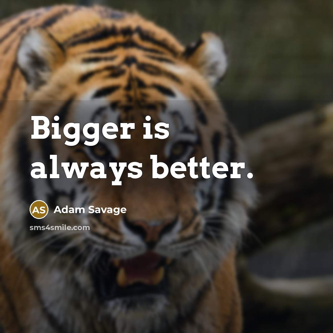 “Bigger is always better.” quote by Adam Savage