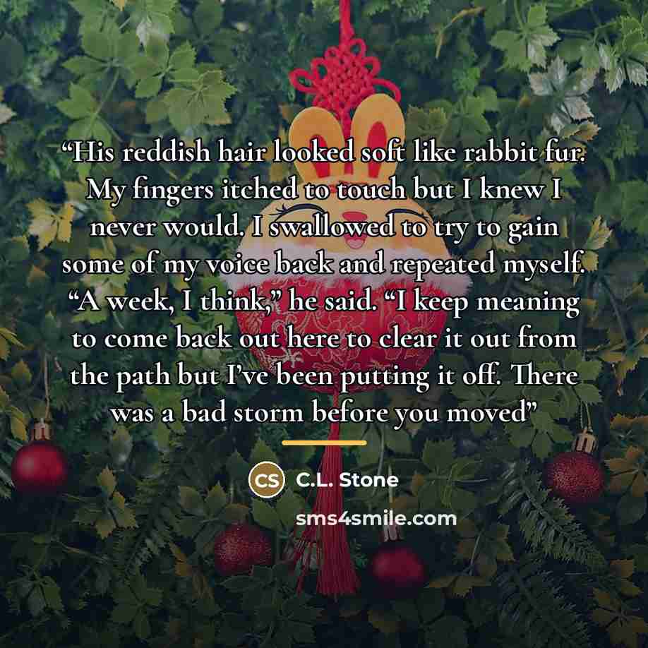 “His reddish hair looked soft like rabbit fur. My fingers itched to touch but I knew I never would. I swallowed to try to gain some of my voice back and repeated myself. “A week, I think,” he said. “I keep meaning to come back out here to clear it out from the path but I’ve been putting it off…” quote by C.L. Stone