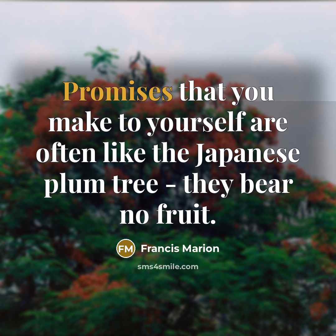 “Promises that you make to yourself are often like the Japanese plum tree - they bear no fruit.” quote by Francis Marion