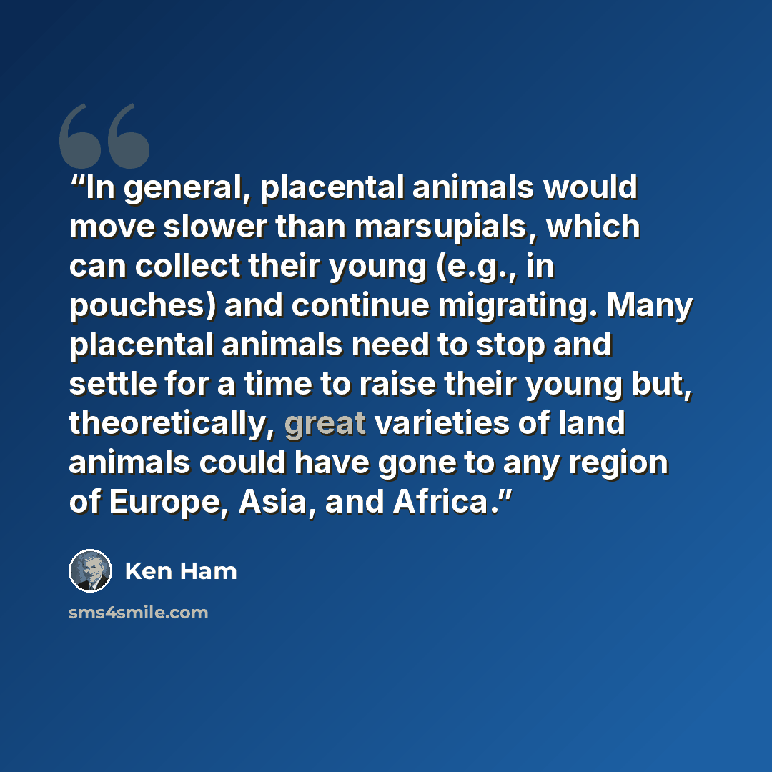 “In general, placental animals would move slower than marsupials, which can collect their young (e.g., in pouches) and continue migrating. Many placental animals need to stop and settle for a time to raise their young but, theoretically, great varieties of land animals could have gone to any region…” quote by Ken Ham