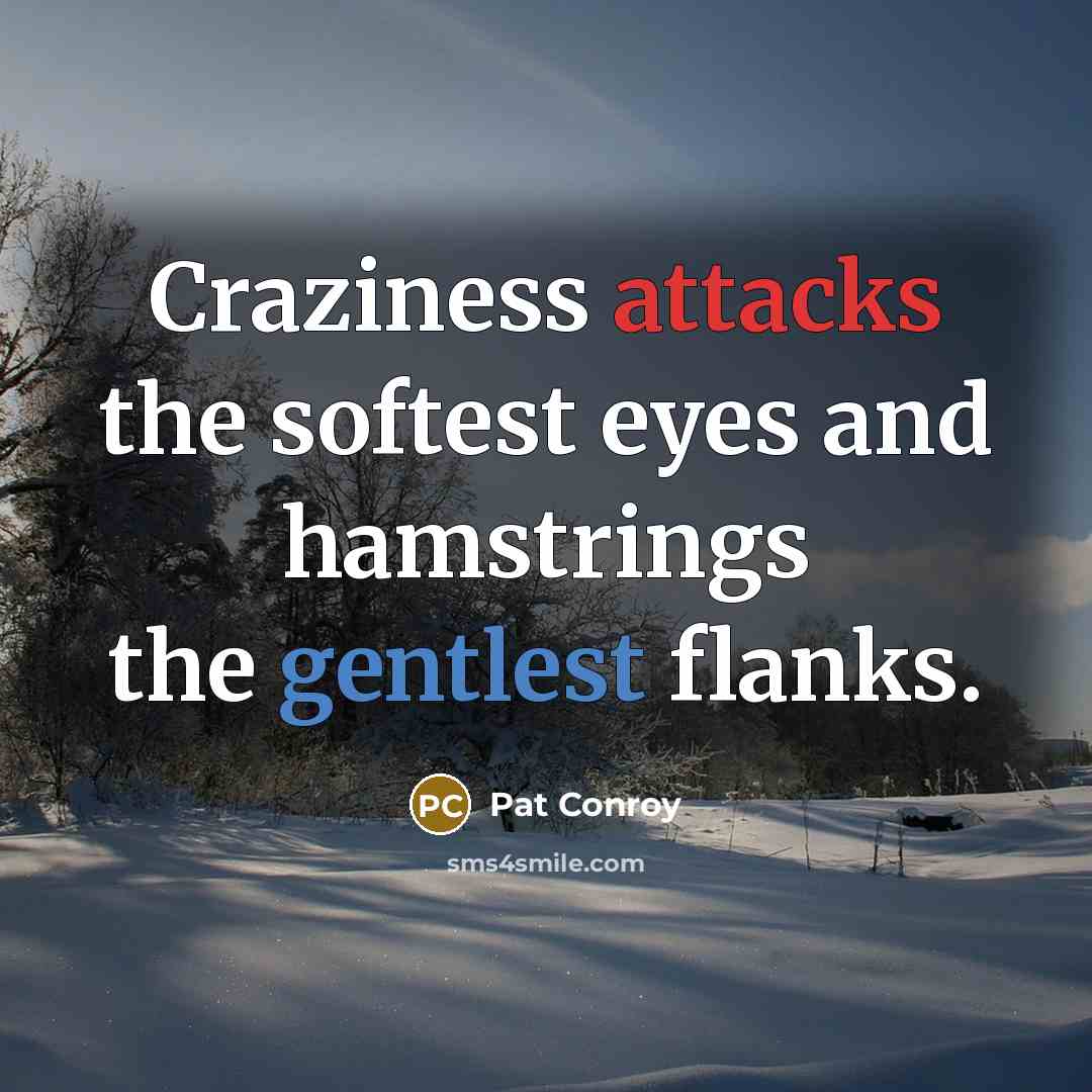 “Craziness attacks the softest eyes and hamstrings the gentlest flanks.” quote by Pat Conroy