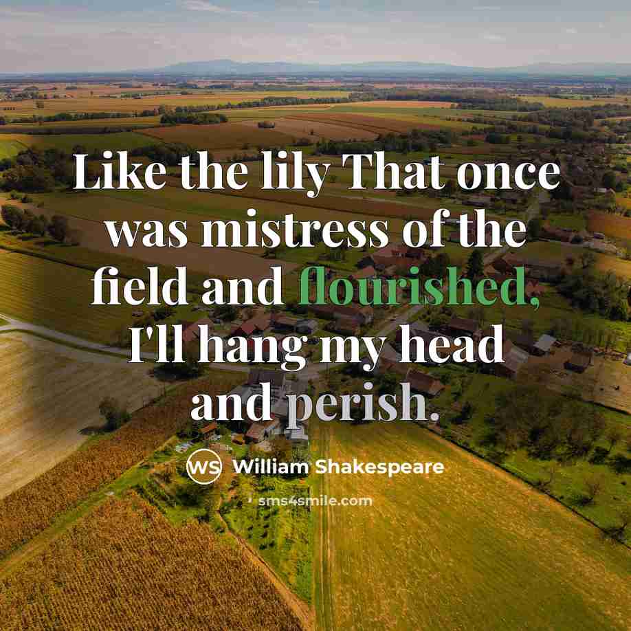 “Like the lily That once was mistress of the field and flourished, I'll hang my head and perish.” quote by William Shakespeare