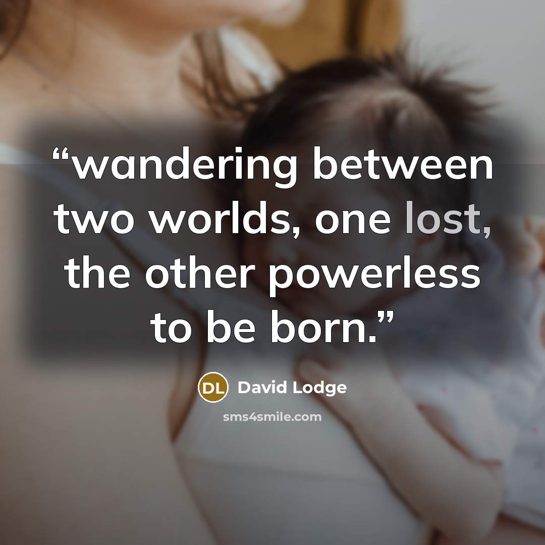 “wandering between two worlds, one lost, the other powerless to be born.” quote by David Lodge