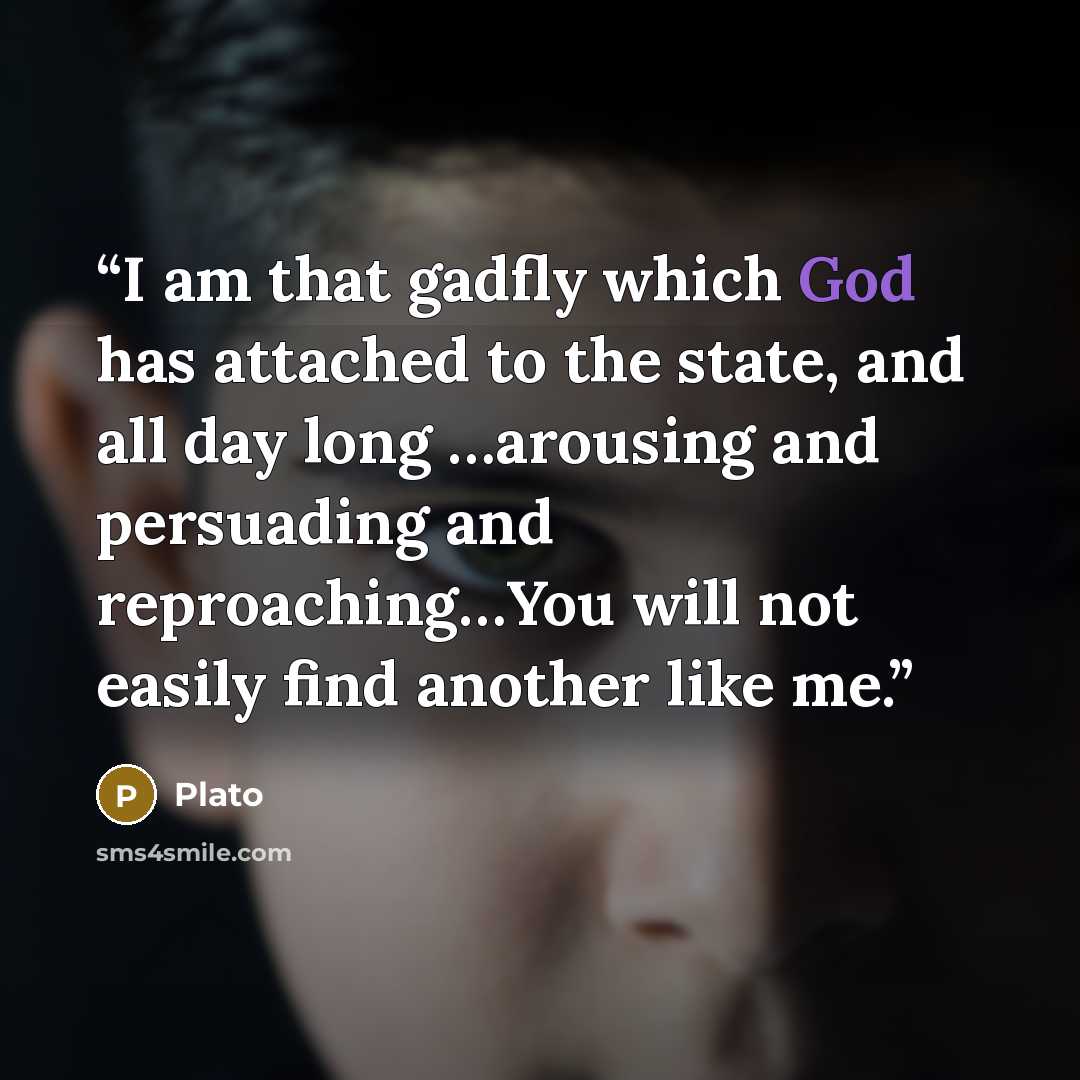 “I am that gadfly which God has attached to the state, and all day long …arousing and persuading and reproaching…You will not easily find another like me.” quote by Plato
