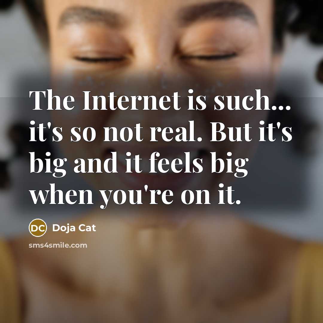 “The Internet is such... it's so not real. But it's big and it feels big when you're on it.” quote by Doja Cat