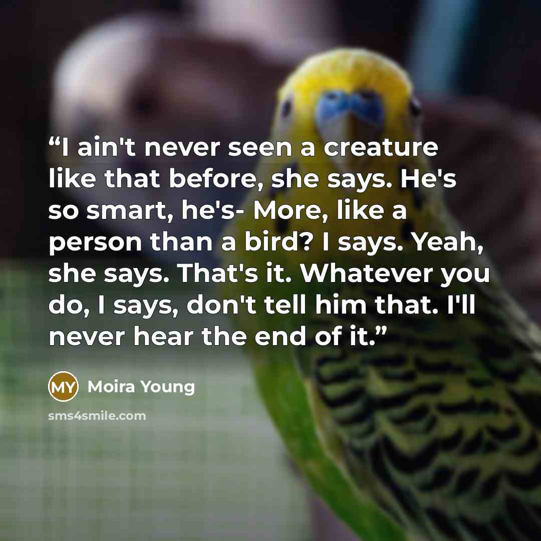 “I ain't never seen a creature like that before, she says. He's so smart, he's- More, like a person than a bird? I says. Yeah, she says. That's it. Whatever you do, I says, don't tell him that. I'll never hear the end of it.” quote by Moira Young
