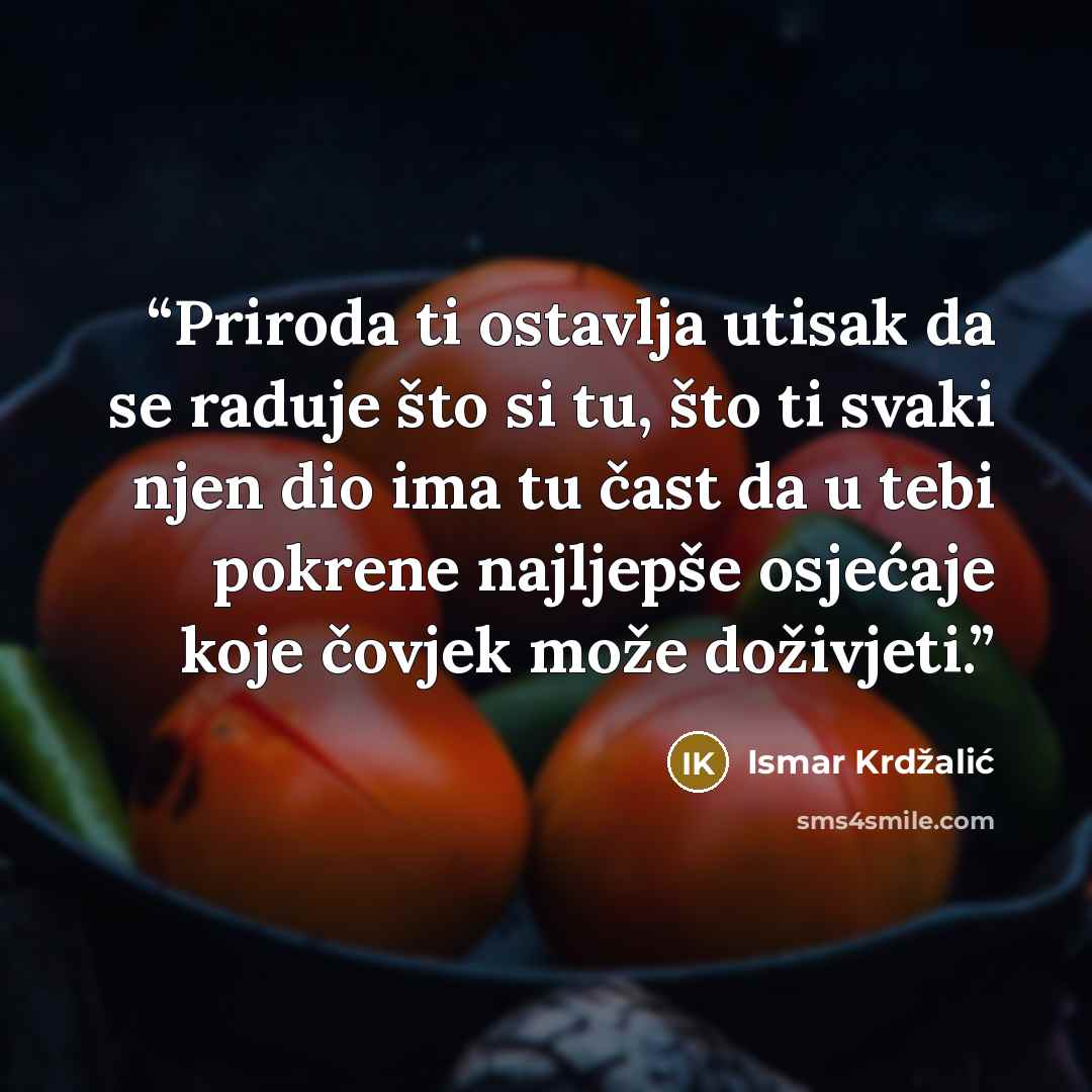 “Priroda ti ostavlja utisak da se raduje što si tu, što ti svaki njen dio ima tu čast da u tebi pokrene najljepše osjećaje koje čovjek može doživjeti.” quote by Ismar Krdžalić
