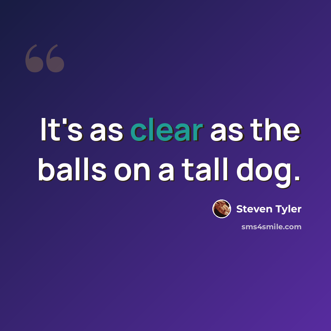 “It's as clear as the balls on a tall dog.” quote by Steven Tyler