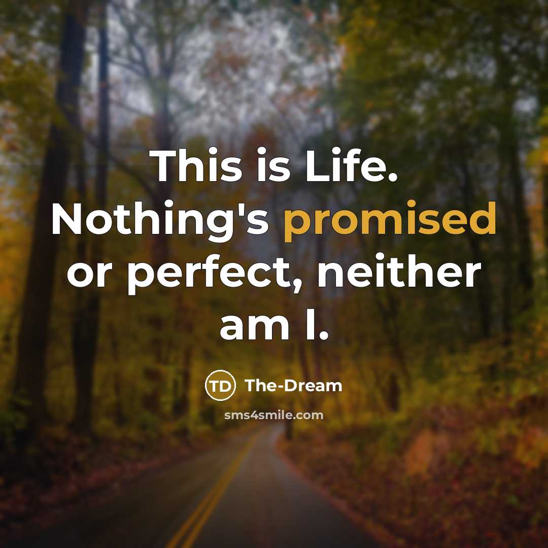 “This is Life. Nothing's promised or perfect, neither am I.” quote by The-Dream