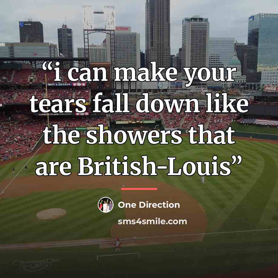 “i can make your tears fall down like the showers that are British-Louis” quote by One Direction