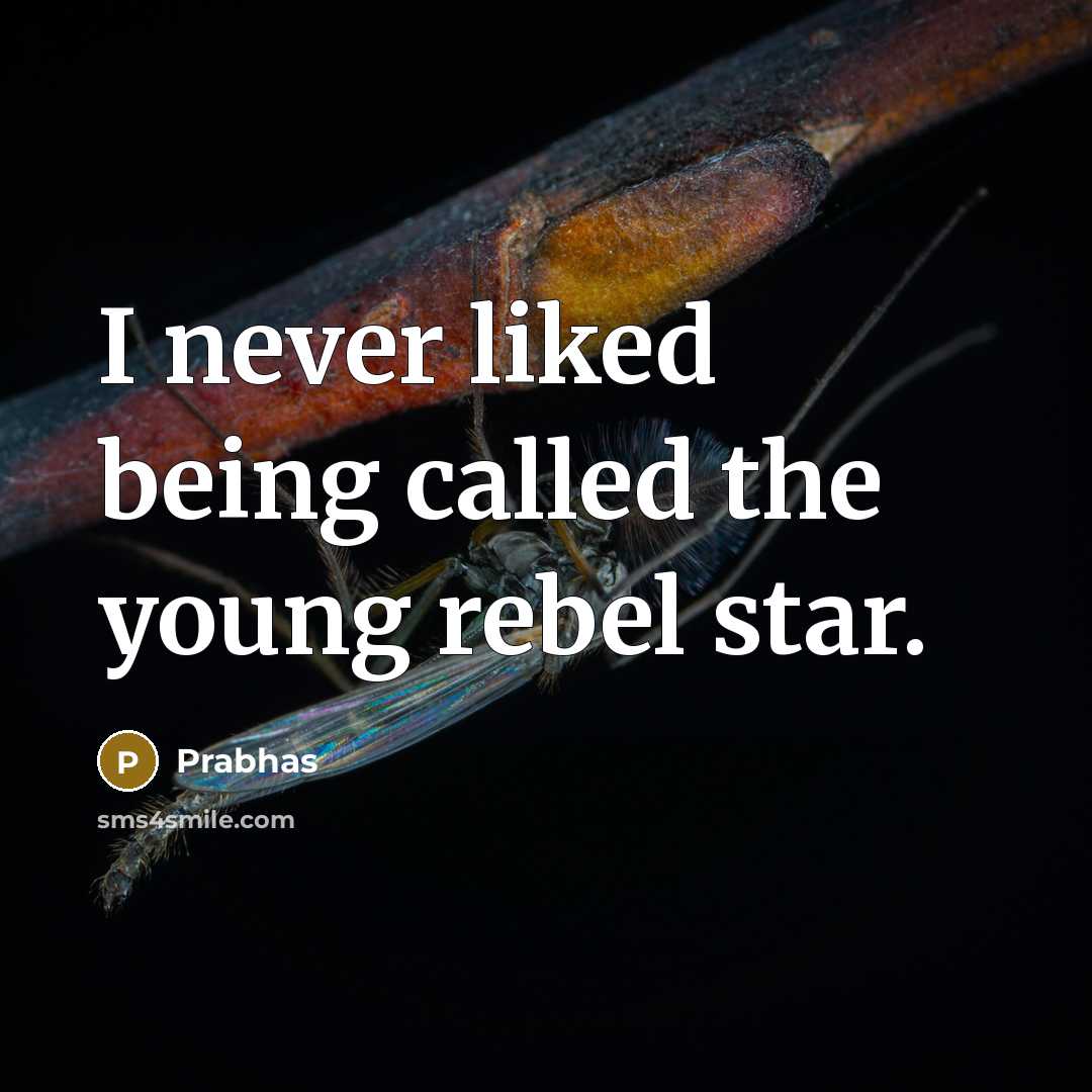 “I never liked being called the young rebel star.” quote by Prabhas