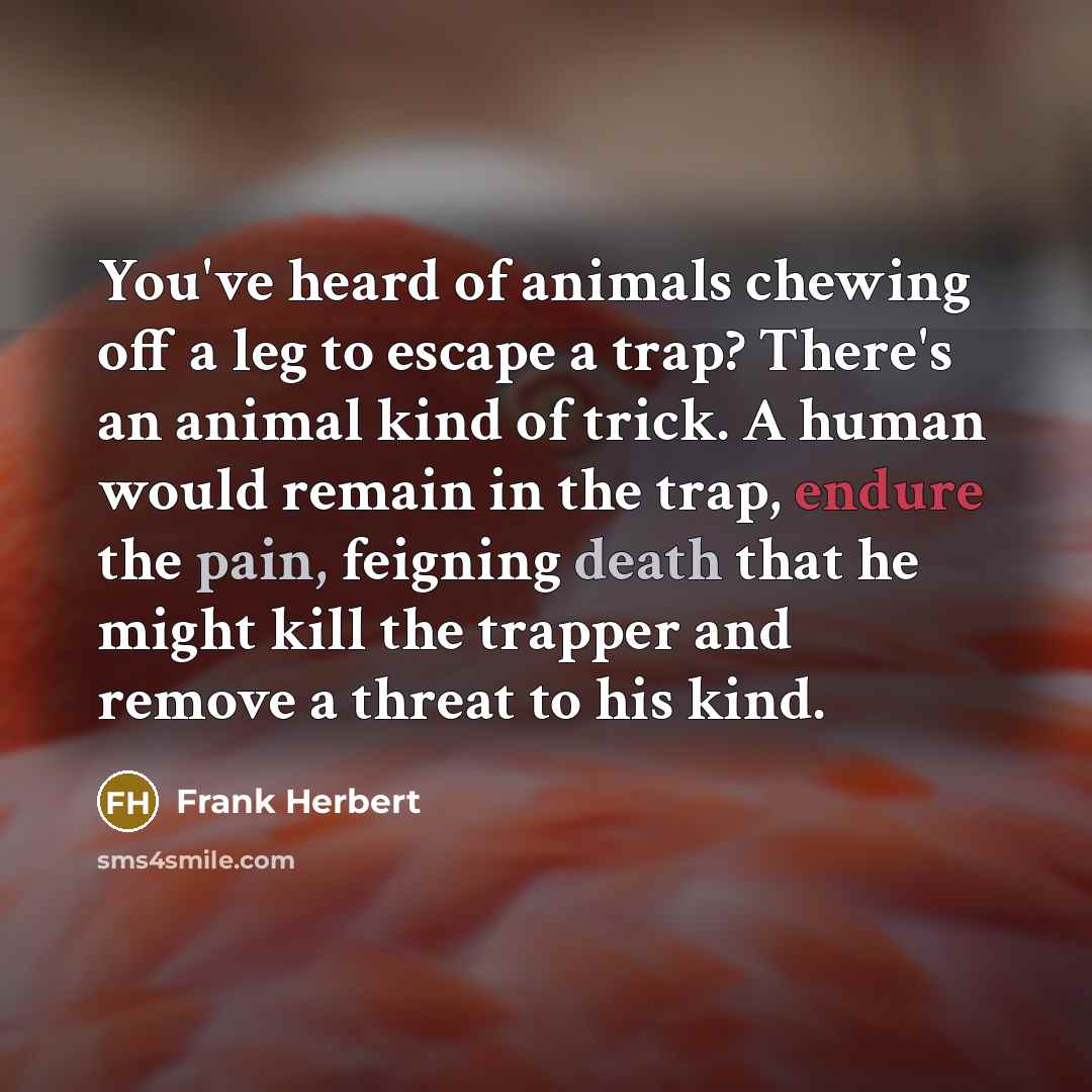 “You've heard of animals chewing off a leg to escape a trap? There's an animal kind of trick. A human would remain in the trap, endure the pain, feigning death that he might kill the trapper and remove a threat to his kind.” quote by Frank Herbert