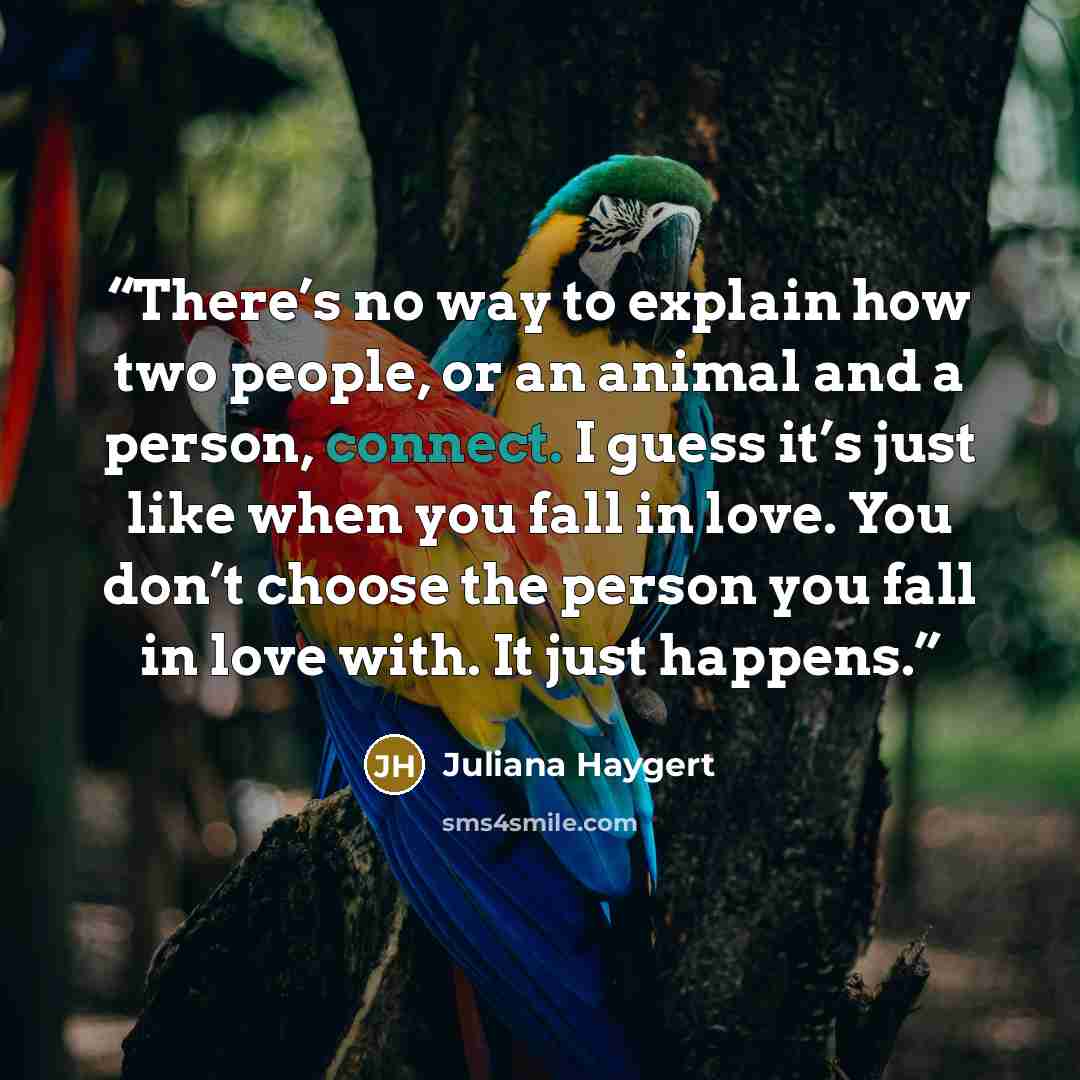 “There’s no way to explain how two people, or an animal and a person, connect. I guess it’s just like when you fall in love. You don’t choose the person you fall in love with. It just happens.” quote by Juliana Haygert