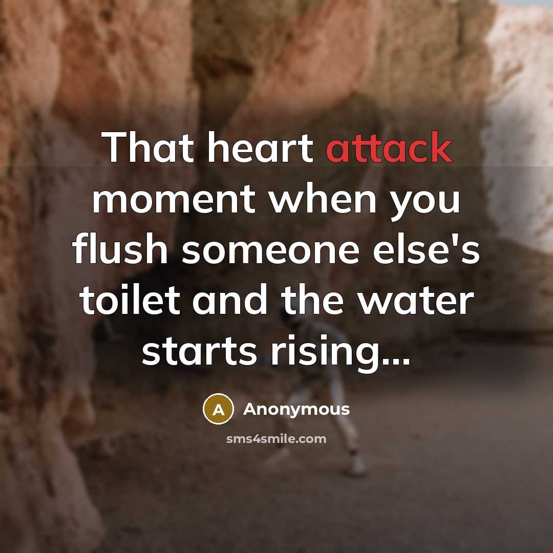 “That heart attack moment when you flush someone else's toilet and the water starts rising...” quote by Anonymous