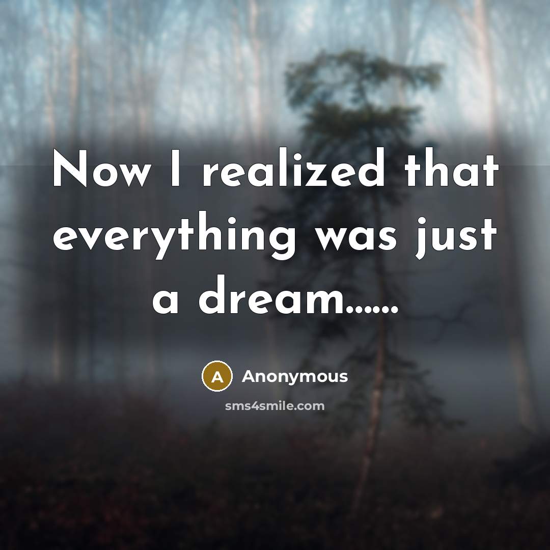 “Now I realized that everything was just a dream……” quote by Anonymous