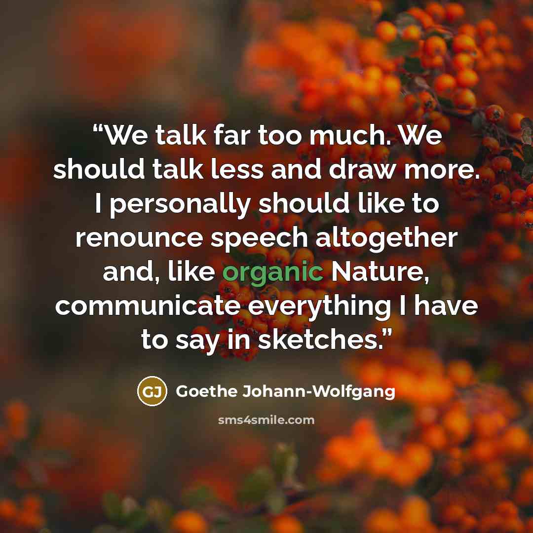 “We talk far too much. We should talk less and draw more. I personally should like to renounce speech altogether and, like organic Nature, communicate everything I have to say in sketches.” quote by Goethe Johann-Wolfgang