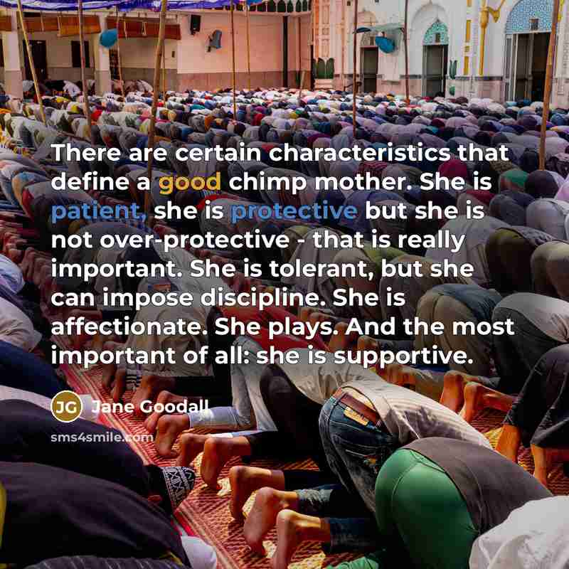 “There are certain characteristics that define a good chimp mother. She is patient, she is protective but she is not over-protective - that is really important. She is tolerant, but she can impose discipline. She is affectionate. She plays. And the most important of all: she is supportive.” quote by Jane Goodall