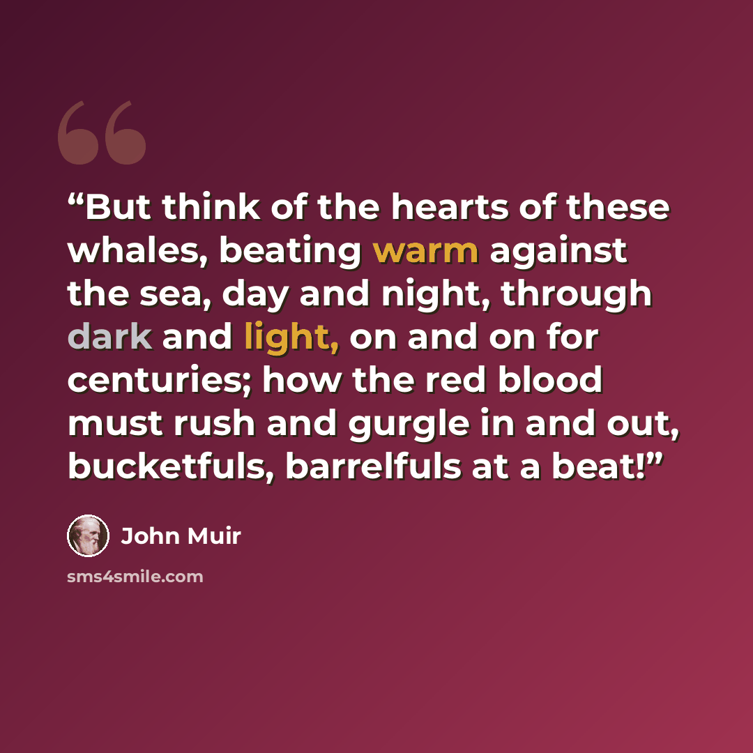 “But think of the hearts of these whales, beating warm against the sea, day and night, through dark and light, on and on for centuries; how the red blood must rush and gurgle in and out, bucketfuls, barrelfuls at a beat!” quote by John Muir