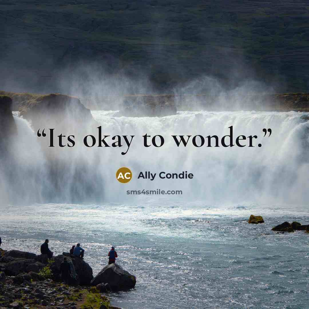 “Its okay to wonder.” quote by Ally Condie