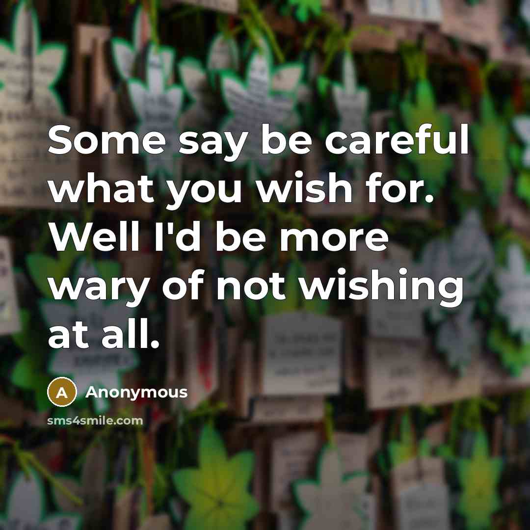 “Some say be careful what you wish for. Well I'd be more wary of not wishing at all.” quote by Anonymous
