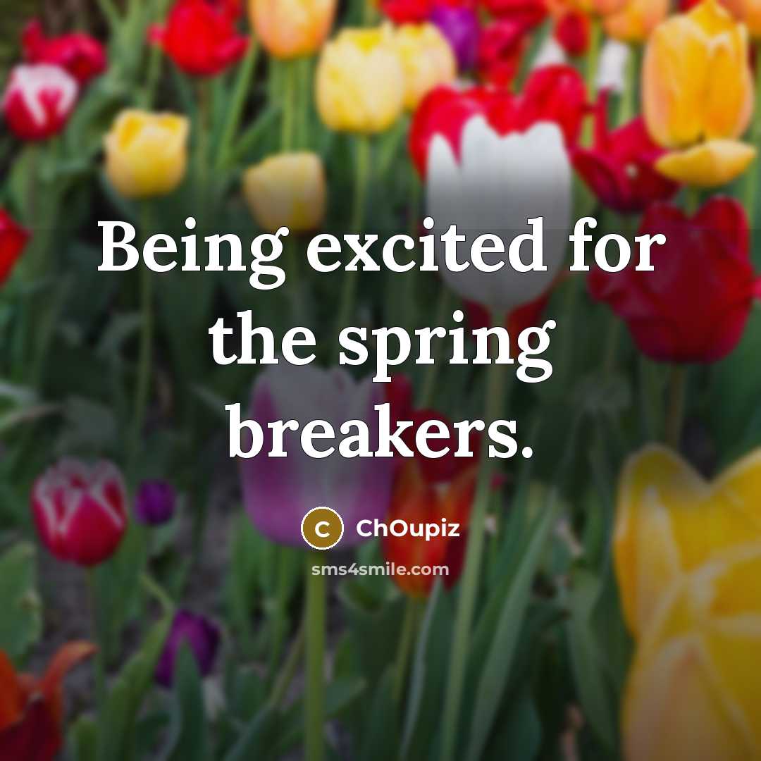 “Being excited for the spring breakers.” quote by ChOupiz