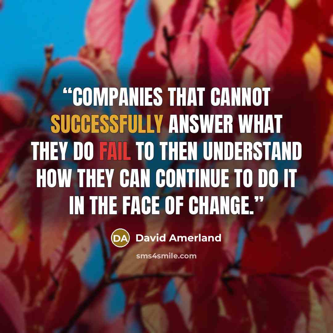 “Companies that cannot successfully answer what they do fail to then understand how they can continue to do it in the face of change.” quote by David Amerland